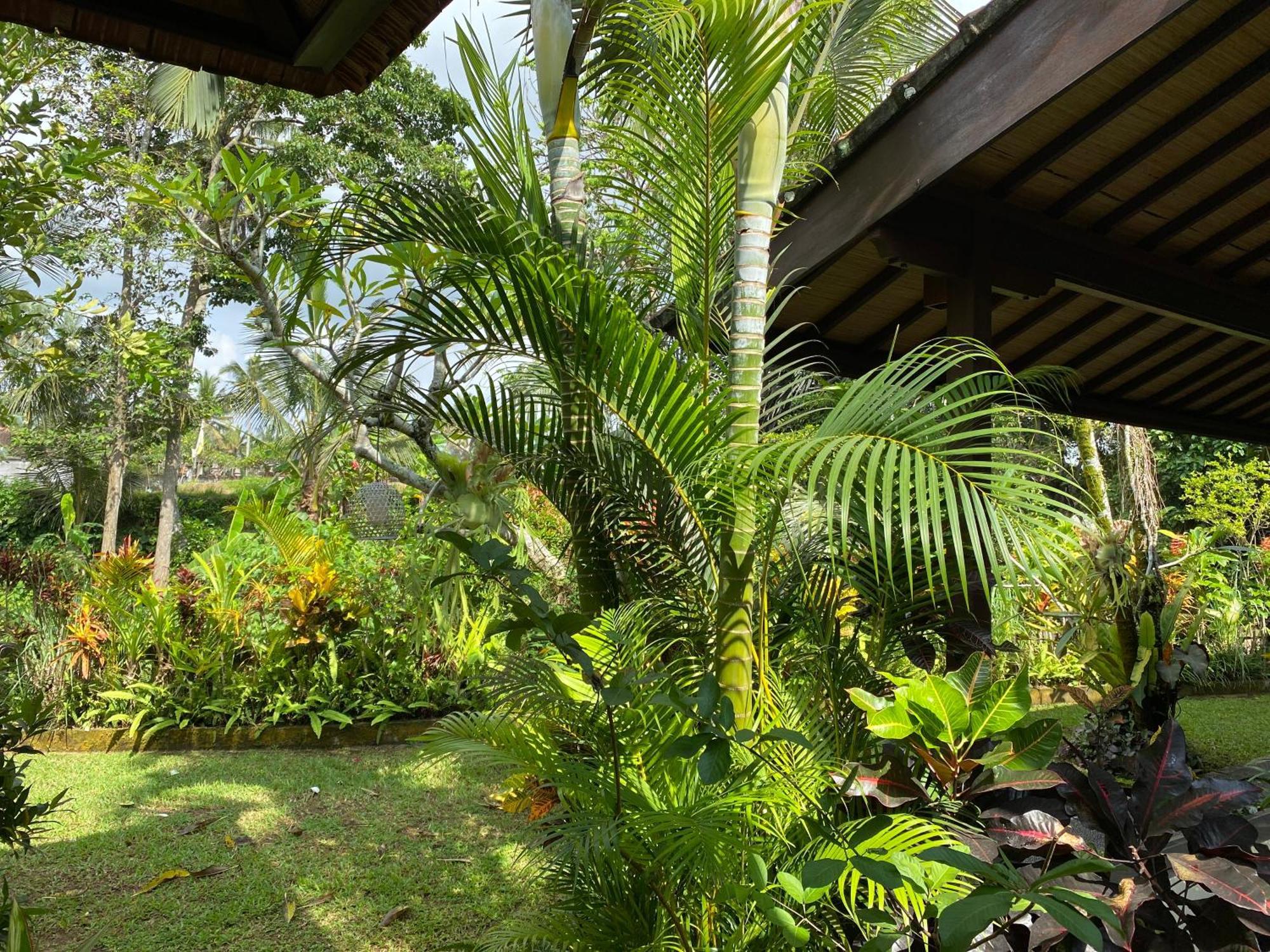 Villa Alam Surya Ubud Exterior photo